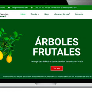 Diseño tienda online en {{mpg_pueblo}}