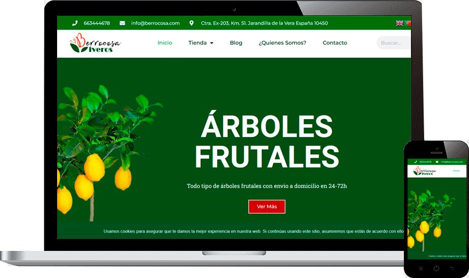 Diseño tienda online en {{mpg_pueblo}}