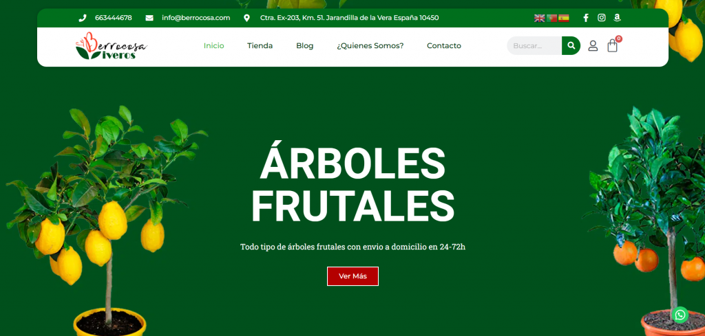 Páginas web