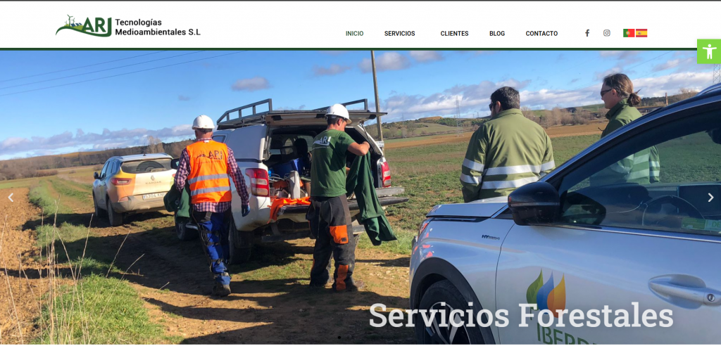 Páginas web